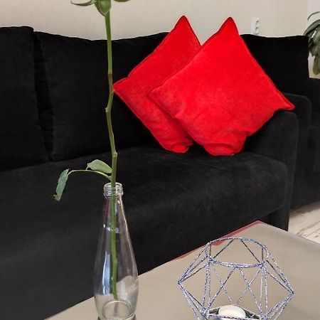 Prime Apartments Grodno Zewnętrze zdjęcie
